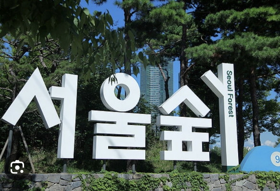 더블유1모텔 이미지