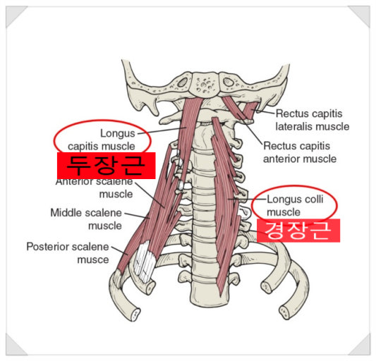 TREX트레이닝센터 이미지