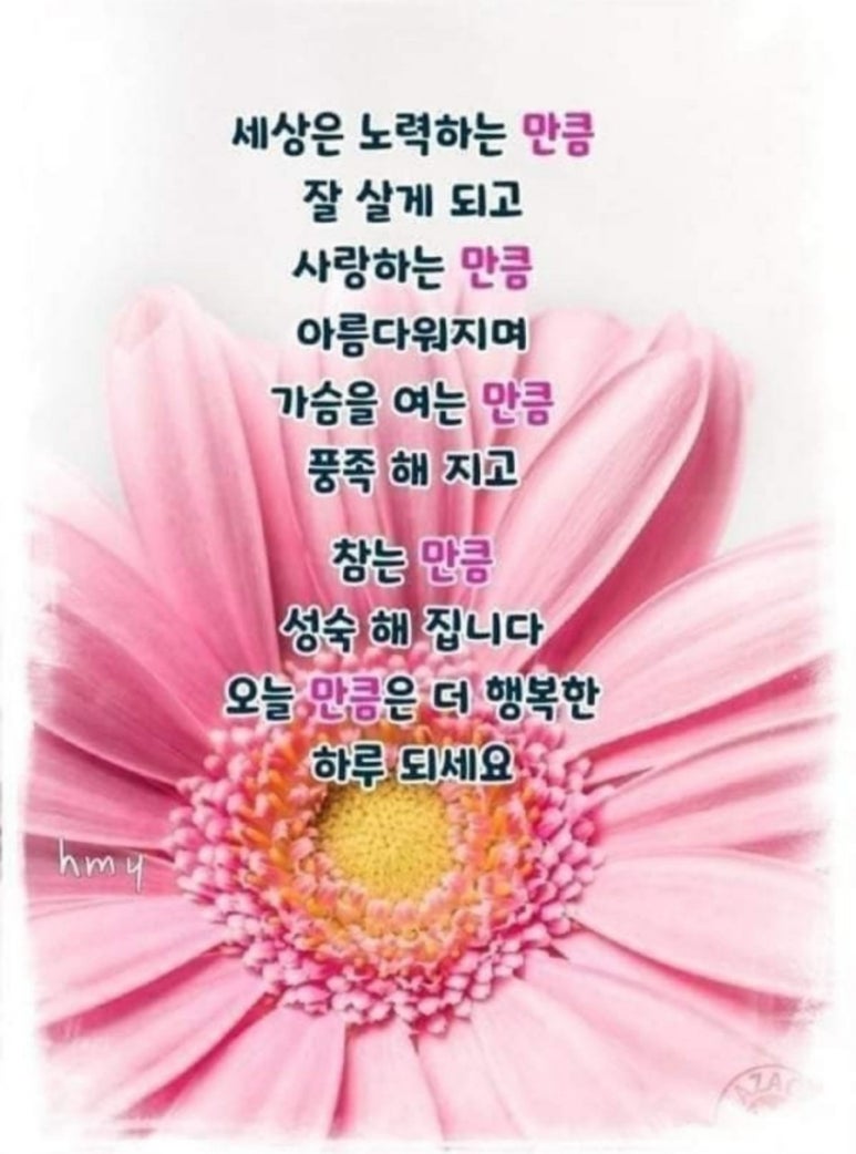 수지상사 이미지