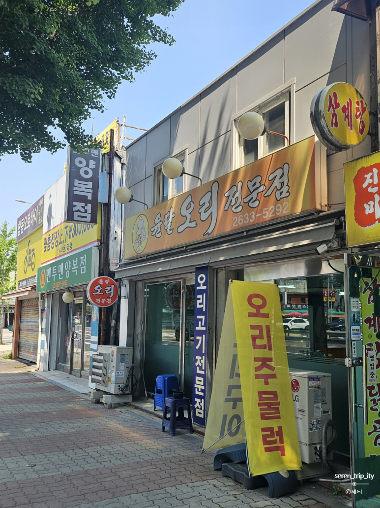 윤달오리 이미지