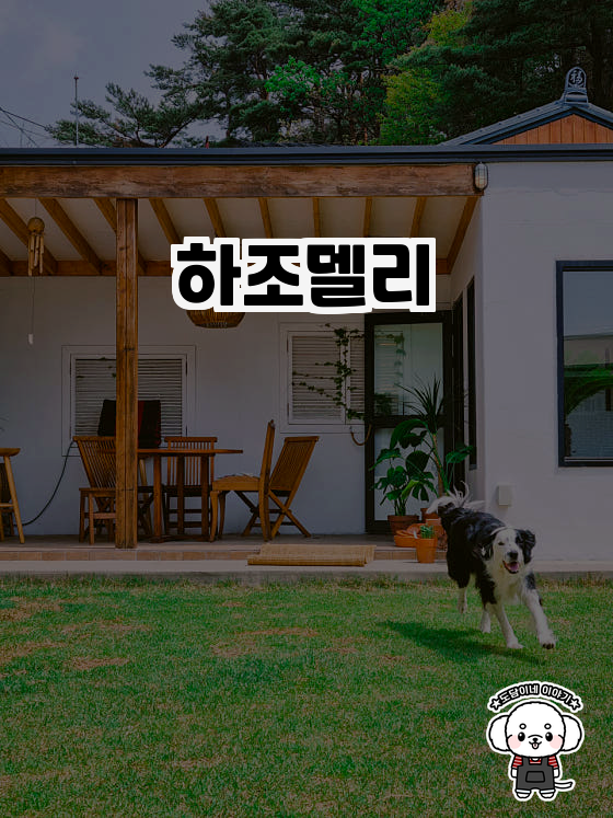 하조델리 이미지