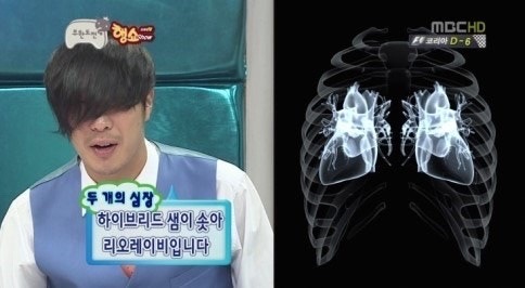 형제돼지 이미지