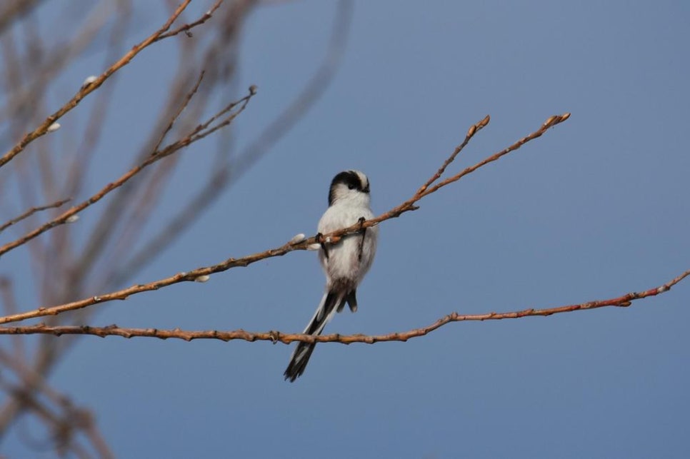 순라황토펜션 이미지