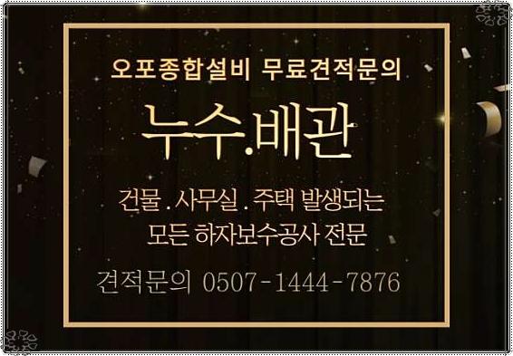 이*보 이미지