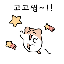 본가칼국수 이미지