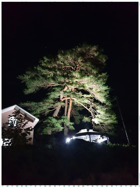 별마중펜션 이미지