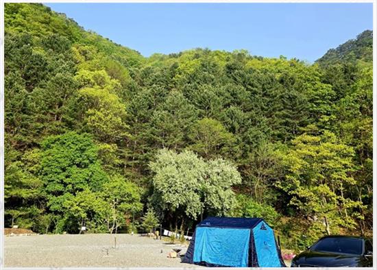 해자연캠핑장 이미지
