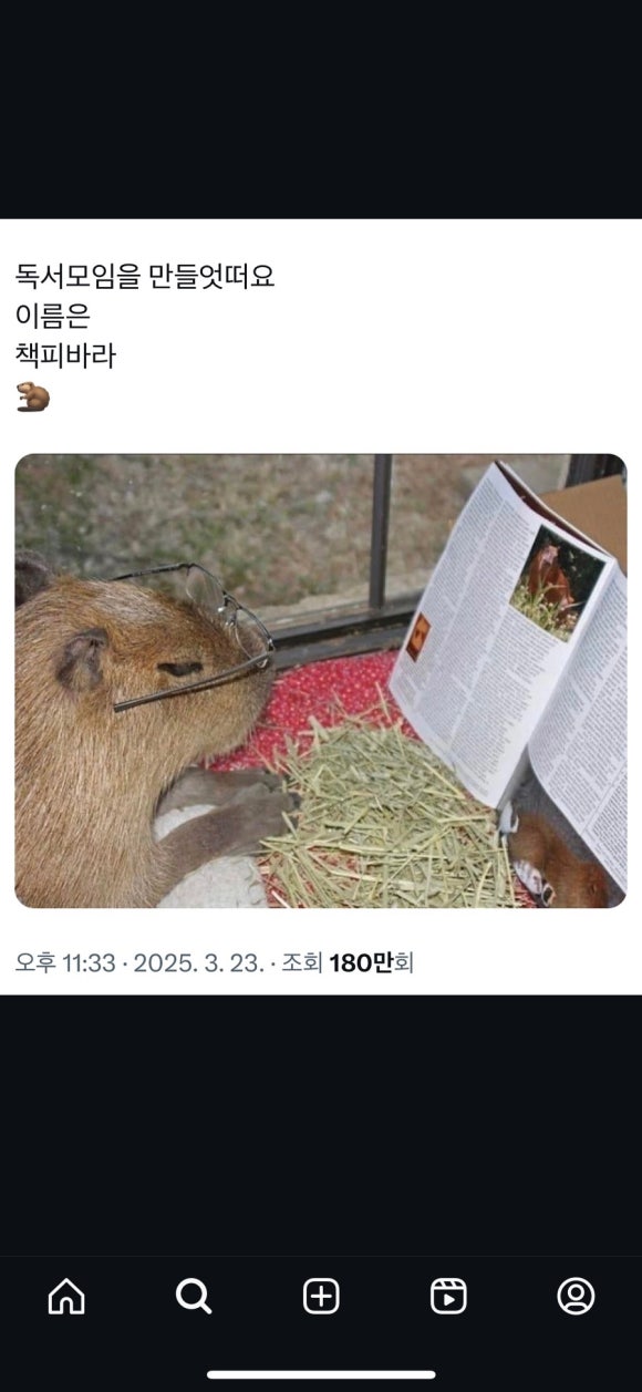 일취 이미지