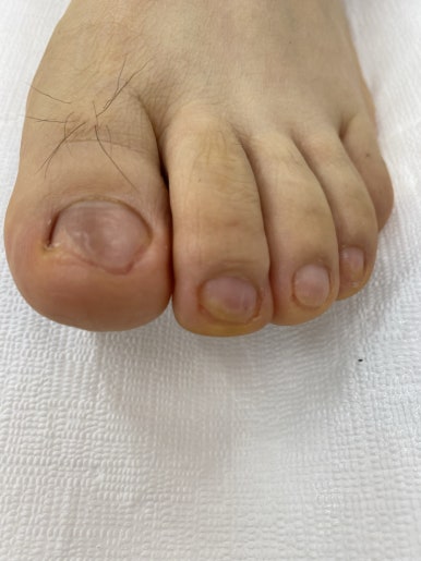 레푸스진주대안점 이미지