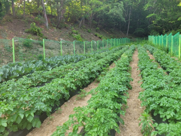(주)풀내음 이미지