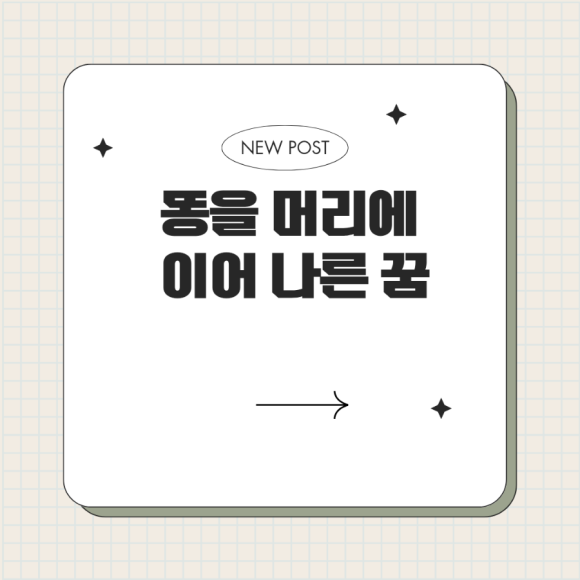 건강을나르는사람들 이미지