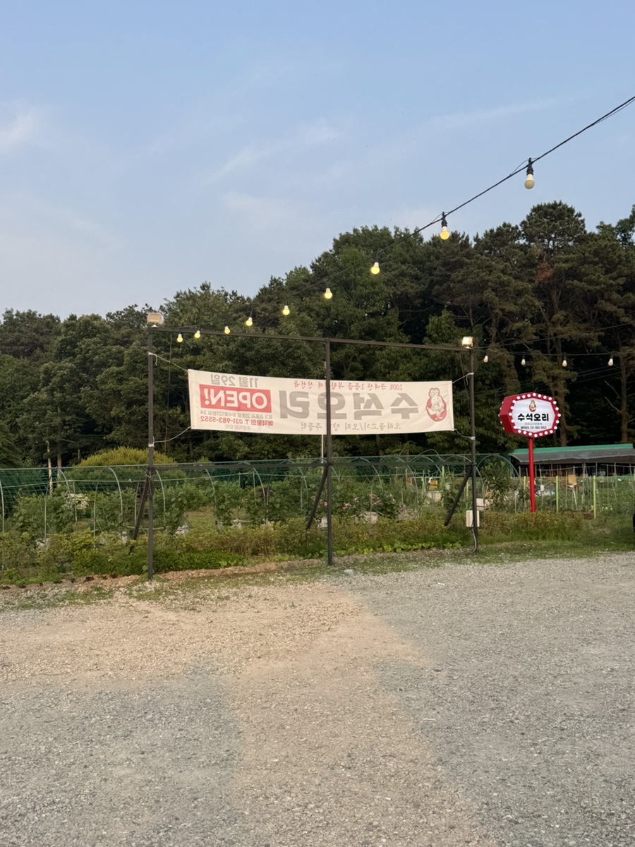 수석오리 이미지