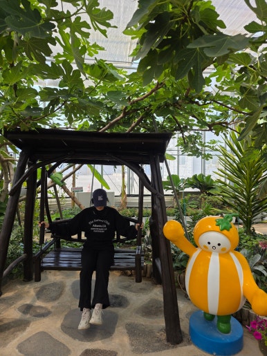 조은여행주 이미지
