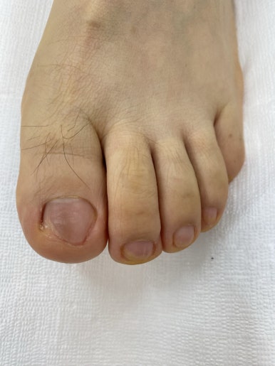 레푸스진주대안점 이미지