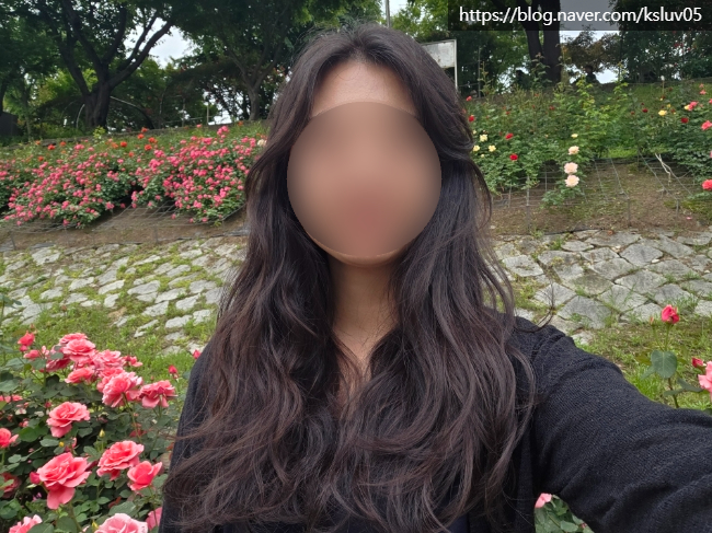 지오네어 이미지
