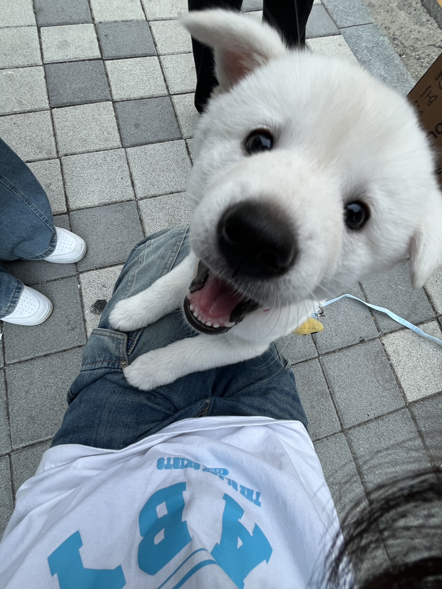 미소랑푸드 이미지