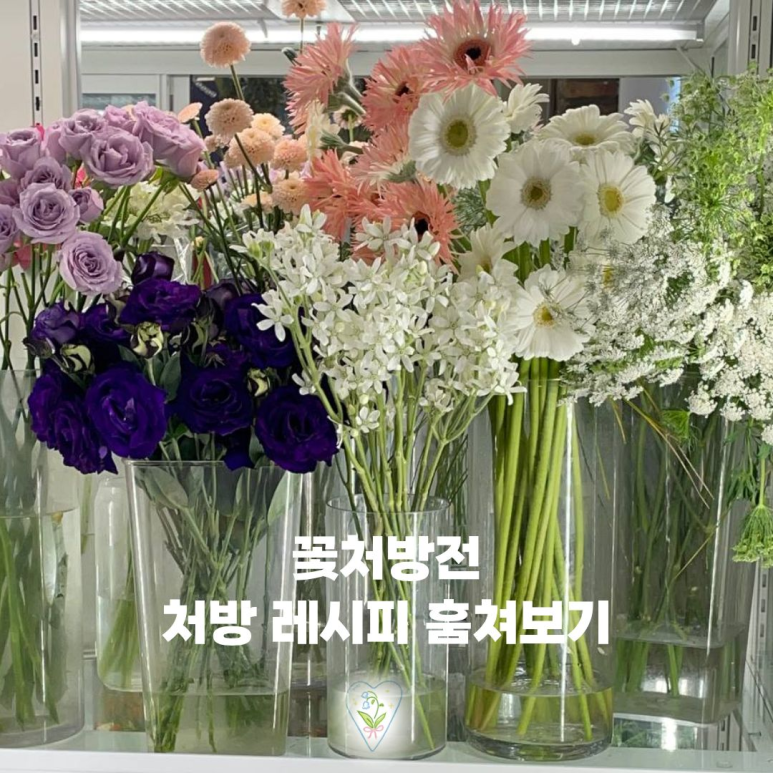 꽃처방전스튜디오 이미지