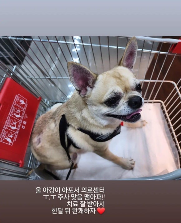 안성푸드덕 이미지