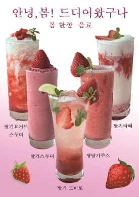 하버무드 이미지