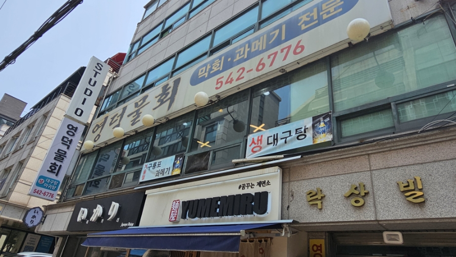 영덕물회 사진 8