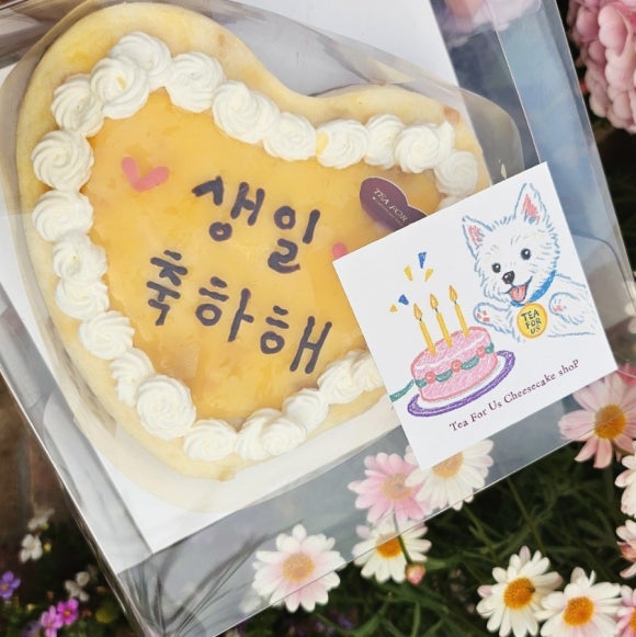 티포어스 이미지