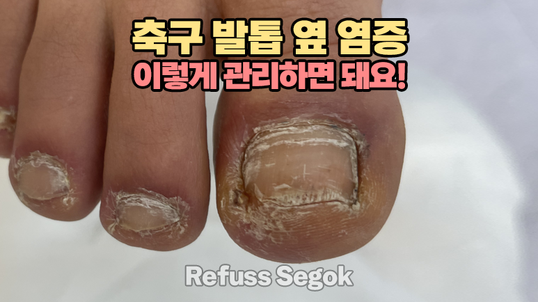 레푸스강남세곡점 이미지