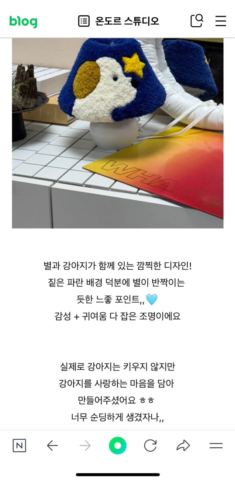 온도르 이미지