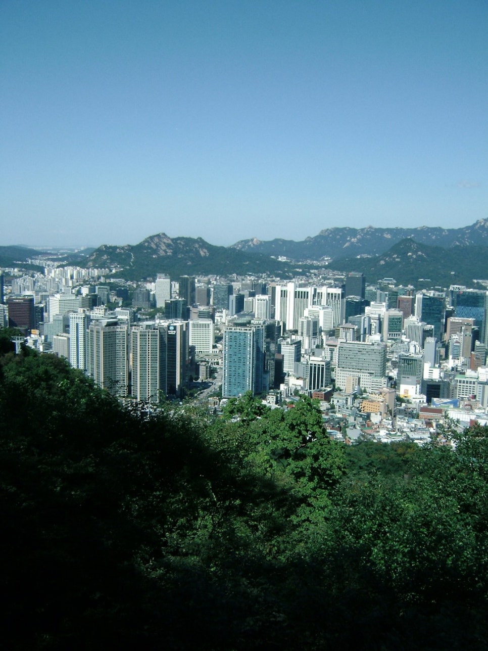 원주자연식품 이미지
