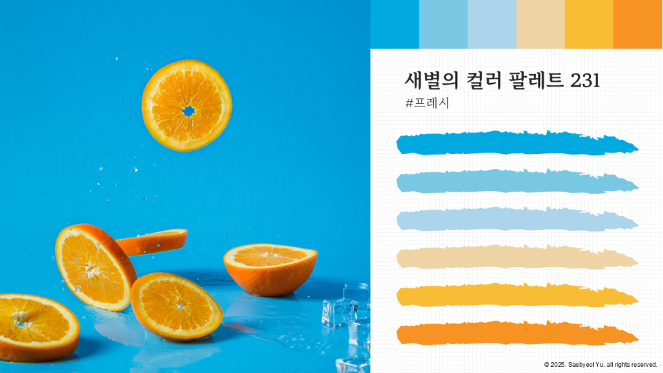 레오버넷(주) 이미지