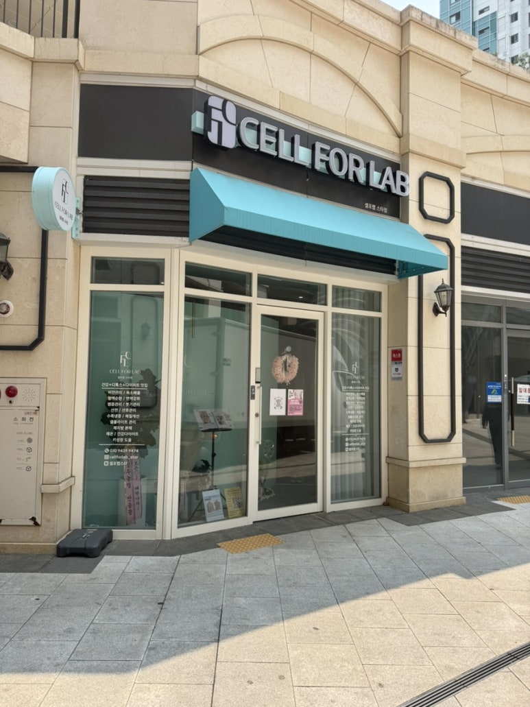 셀포랩스타 이미지