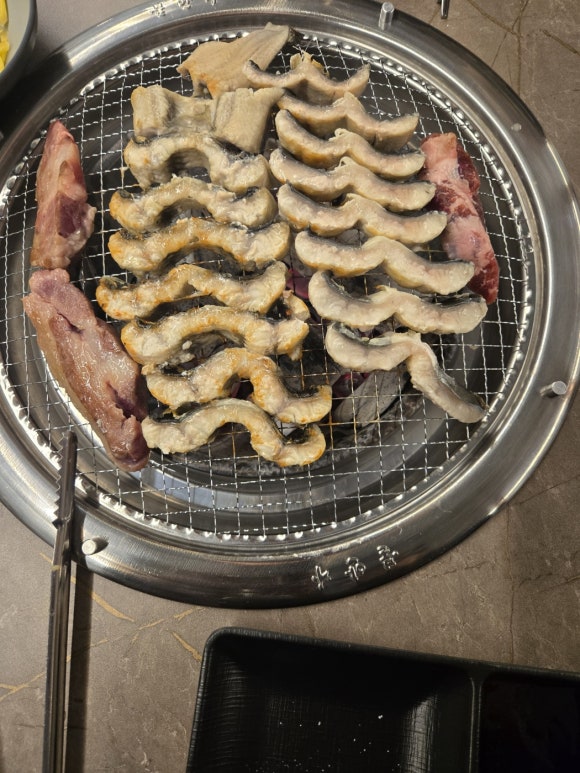 황금민물장어 이미지