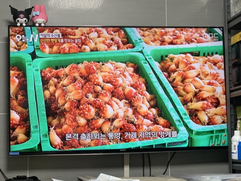 멍게수협 직매장 이미지