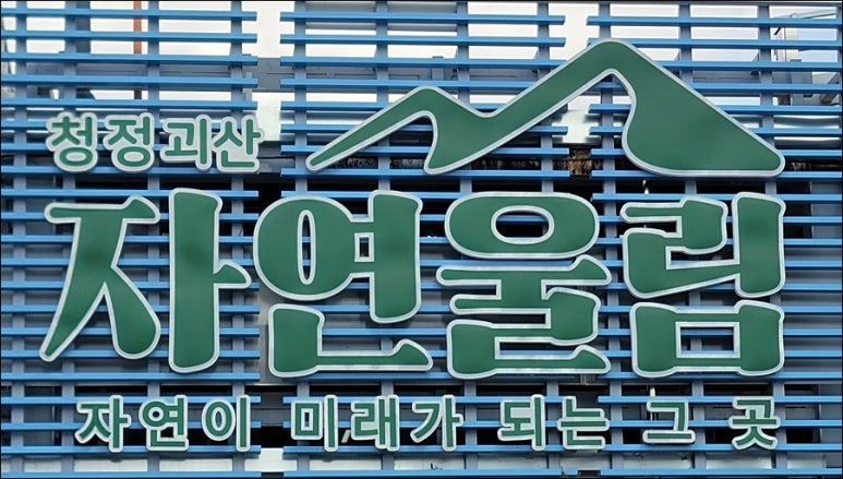 책여행교육체험도서관 이미지