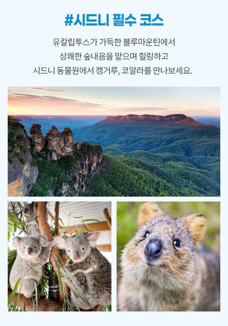 동부항공여행사 이미지