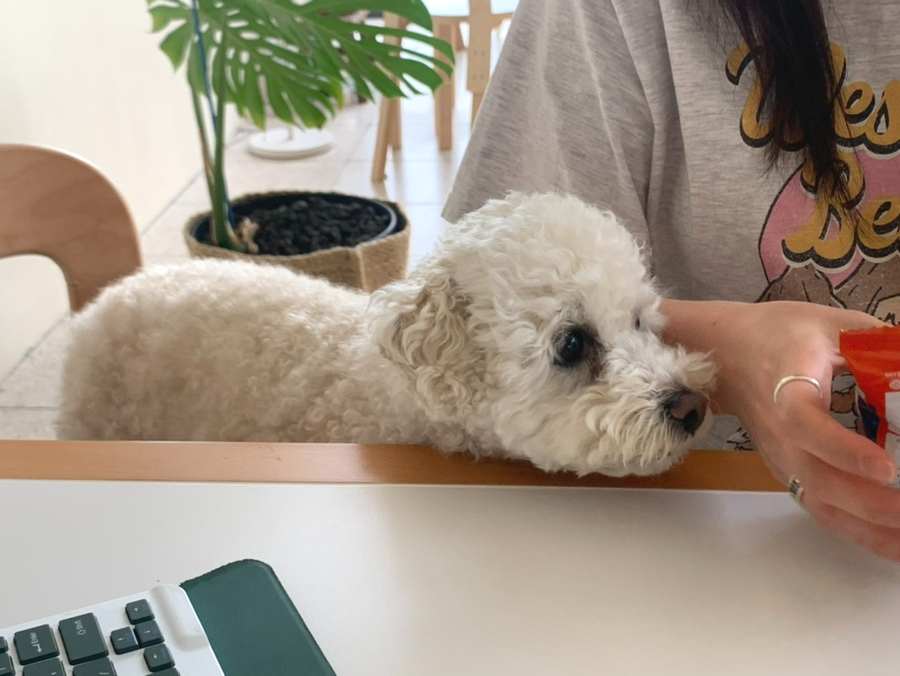 누니스커피 이미지