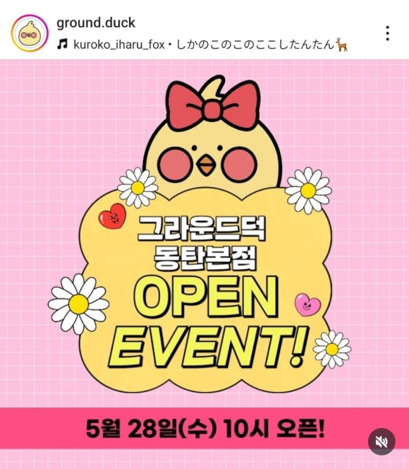 그라운드덕 이미지