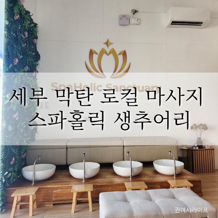 로컬홀릭 이미지