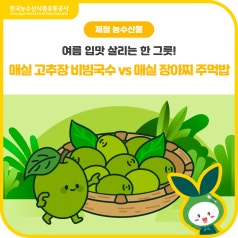 여름철 입맛 되살리는 매실 한 그릇![매실 고추장 비빔국수 vs 매실 장아찌 주먹밥]... 바로가기