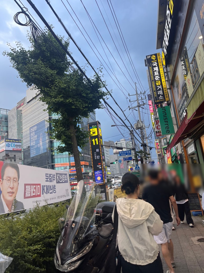 달리핀 에스테틱 이미지