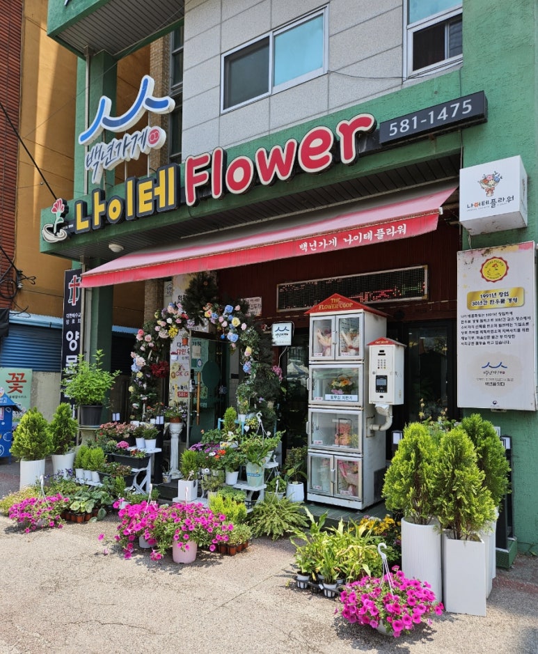 나이테플라워 이미지