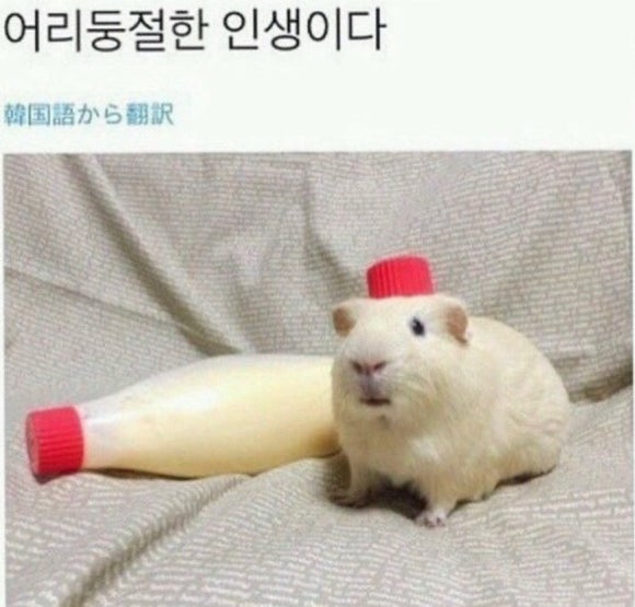제이무드 이미지
