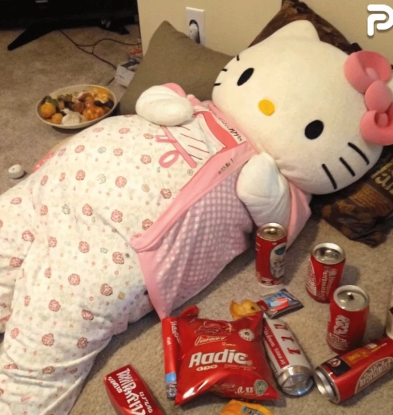 키티 이미지