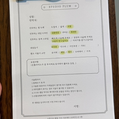 네일플럼 이미지