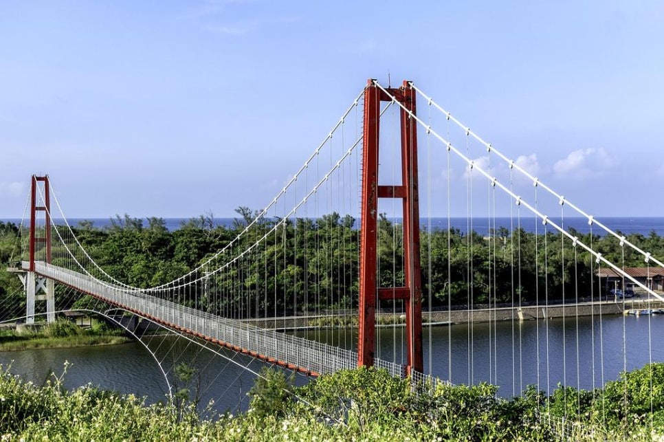 촌노의정원 이미지