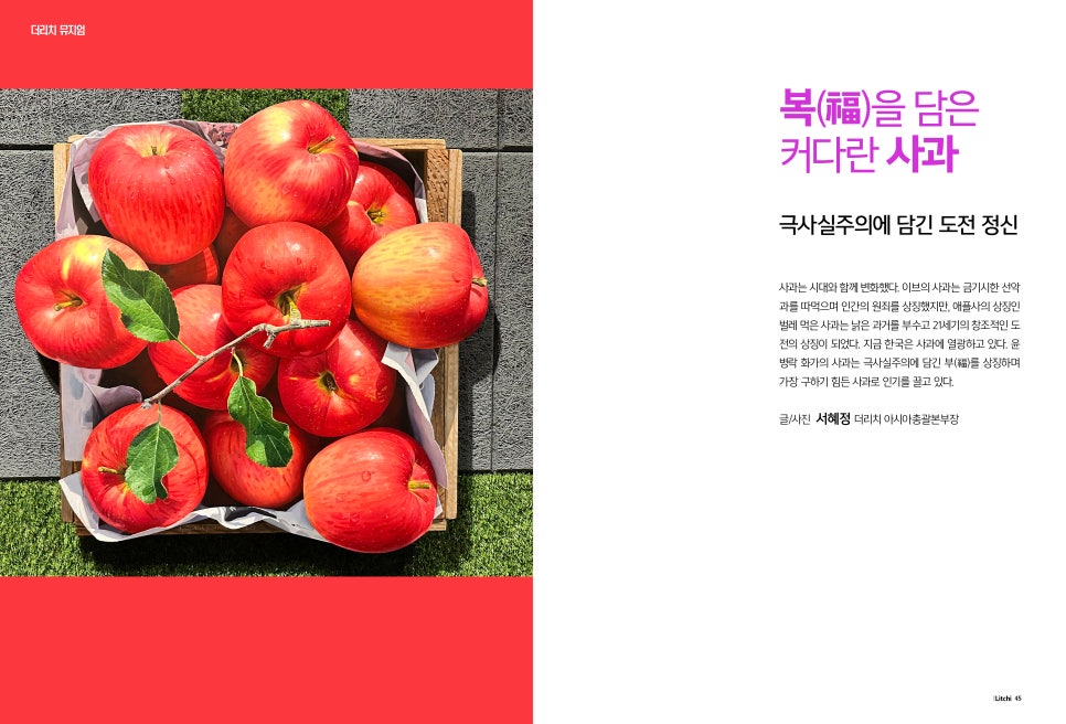 리치더리치 이미지