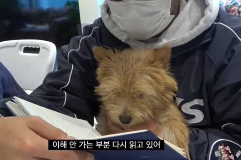 씨피에이 이미지