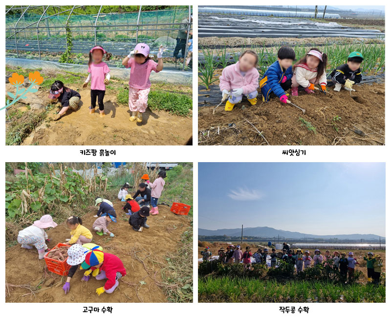 대한꿈터어린이집 이미지
