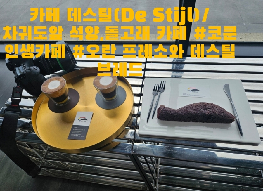 돌고래전망카페 이미지