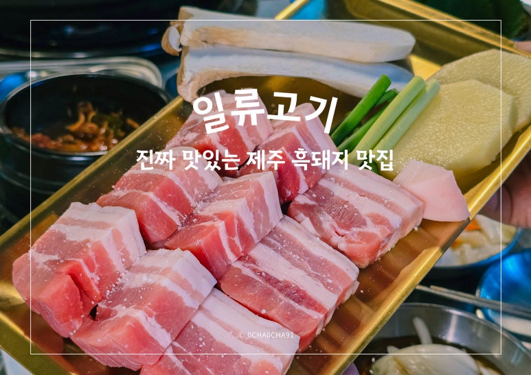 일류고기 이미지