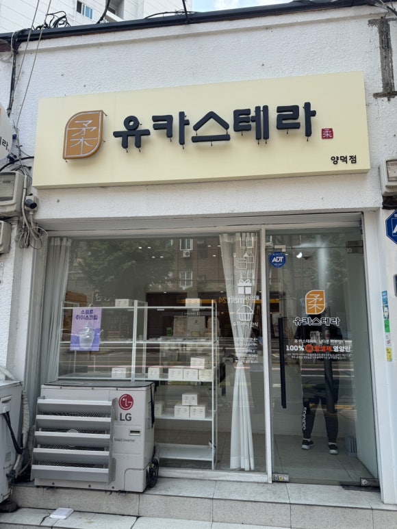 유카스테라 이미지
